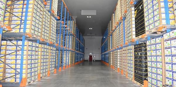 New frozen storage offers 22,000 extra pallet places for frozen produce