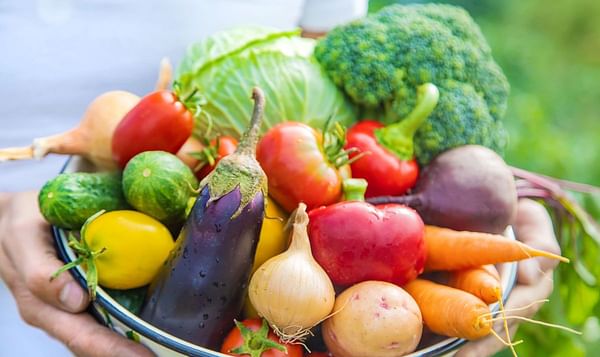 New nutrient profiling tools confirm starchy vegetables deliver comparable nutritional value as non-starchy vegetables and whole fruit