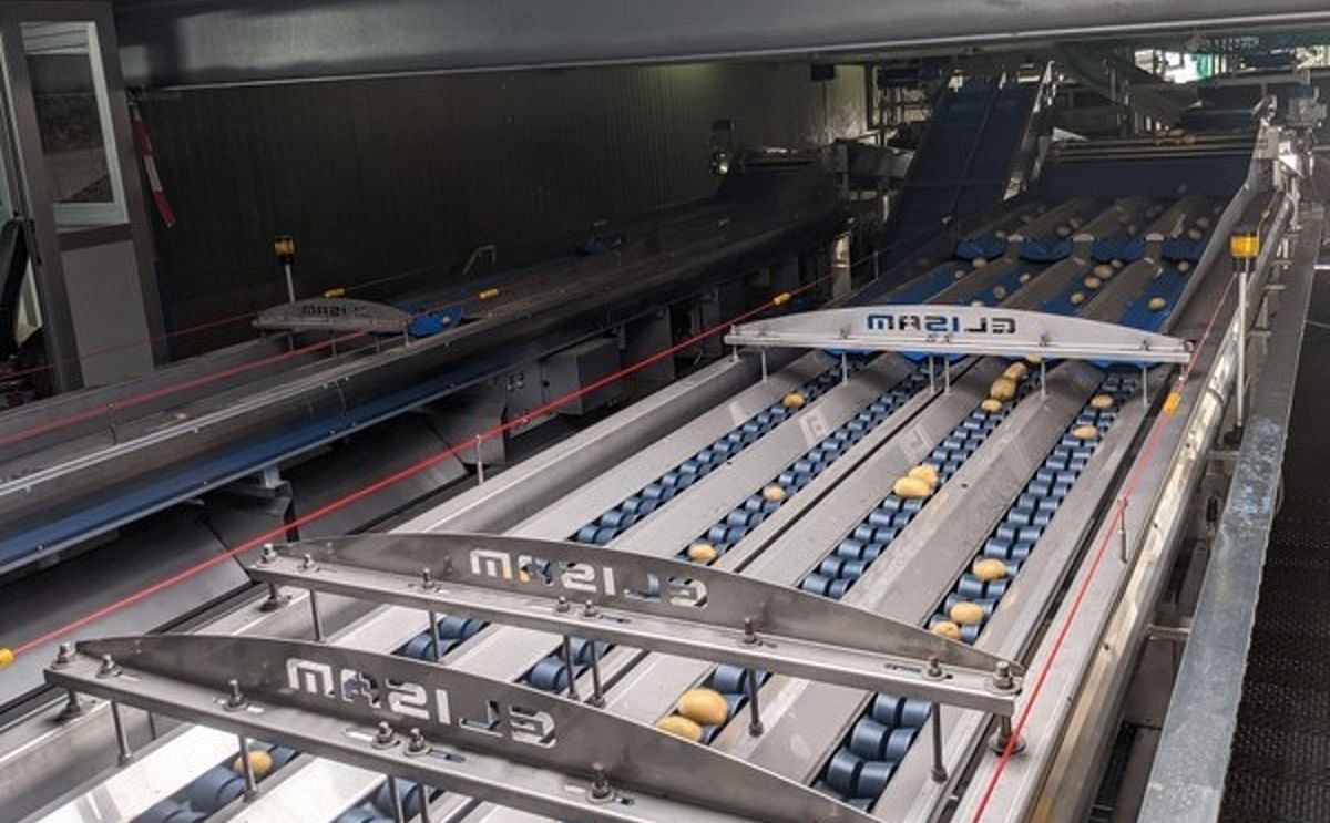 New optical sorter means potato packer Wilhelm Weyers can serve all markets