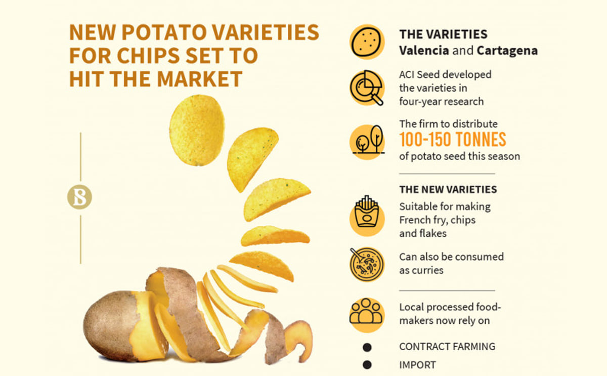 New potato varieties coming for chips and French fries New potato varieties coming for chips and French fries
