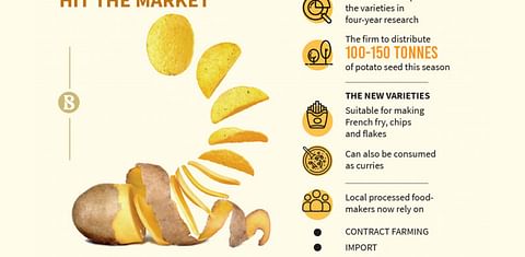 New potato varieties coming for chips and French fries