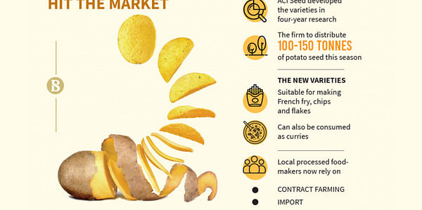 New potato varieties coming for chips and French fries