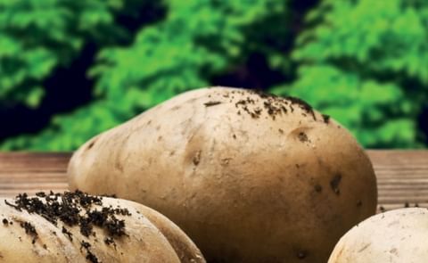 New Zealand Potatoes (Courtesy: Potatoes New Zealand) New Zealand Potatoes (Courtesy: Potatoes New Zealand)