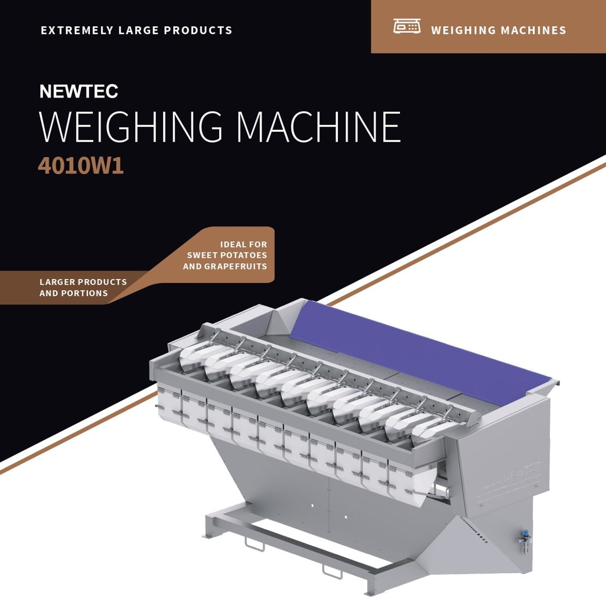 Newtec Weighing Machine 4010W1 Newtec Weighing Machine 4010W1