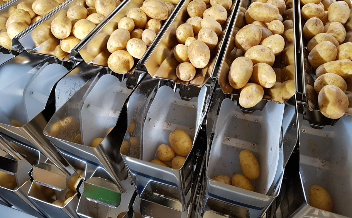 Newtec answers the six questions every customer has about investing in fruit and vegetable weighing machines Newtec answers the six questions every customer has about investing in fruit and vegetable weighing machines