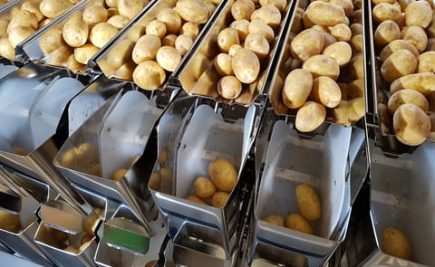 Newtec 4015B2. A high-speed weighing machine for smaller products. Newtec 4015B2. A high-speed weighing machine for smaller products.