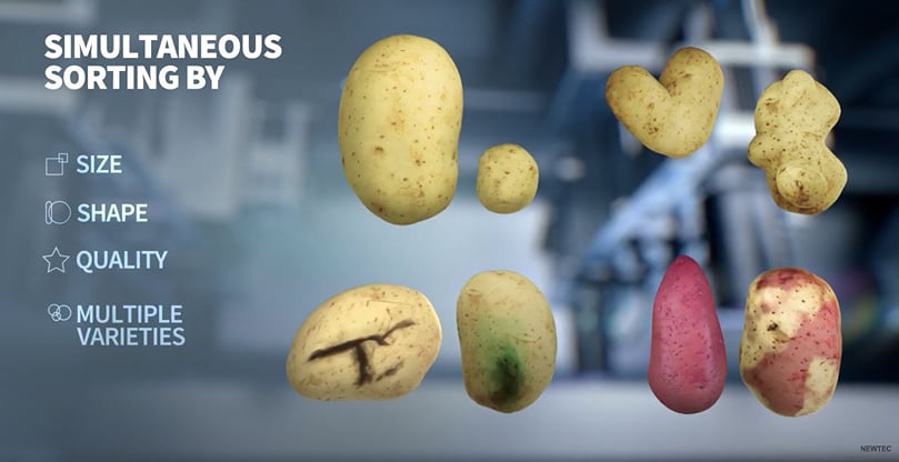 Newtec Optical Grading of Potatoes by Quality, Size and Shape Newtec Optical Grading of Potatoes by Quality, Size and Shape