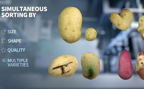 Newtec Optical Grading of Potatoes by Quality, Size and Shape