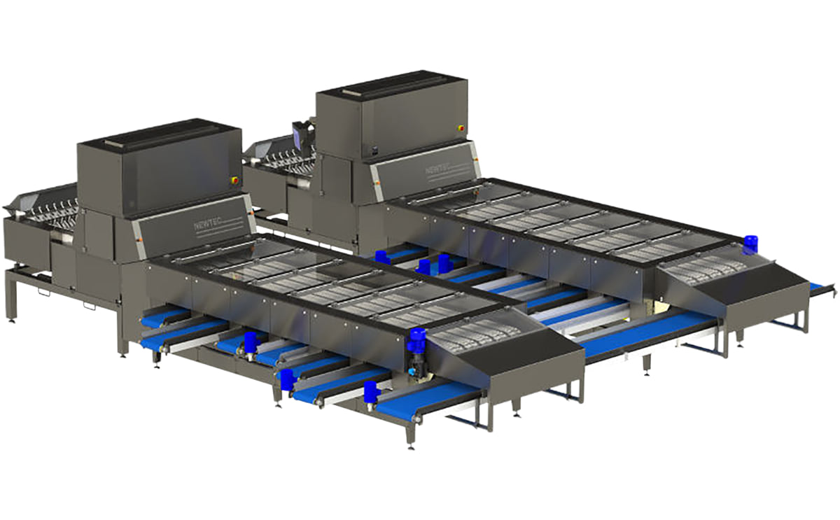 Newtec Celox-P-UHD sorter helps out potato supplier Storøhage Kartofler Newtec Celox-P-UHD sorter helps out potato supplier Storøhage Kartofler