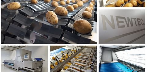 Newtec Optical sorters, here applied for potatoes to be packed for retail