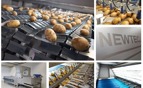 Newtec Optical sorters, here applied for potatoes to be packed for retail Newtec Optical sorters, here applied for potatoes to be packed for retail