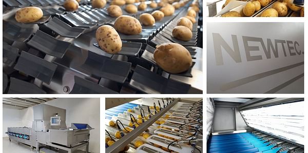 Newtec Optical sorters, here applied for potatoes to be packed for retail
