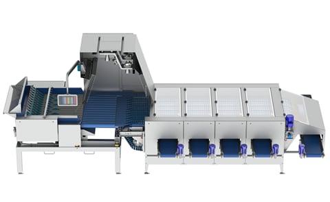 Newtec Optical Sorting Machine Celox P Dual UHD Newtec Optical Sorting Machine Celox P Dual UHD
