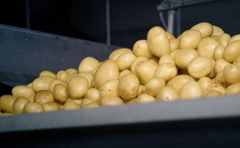 Newtec optical sorting machine for potatoes, Celox-P-UHD Newtec optical sorting machine for potatoes, Celox-P-UHD