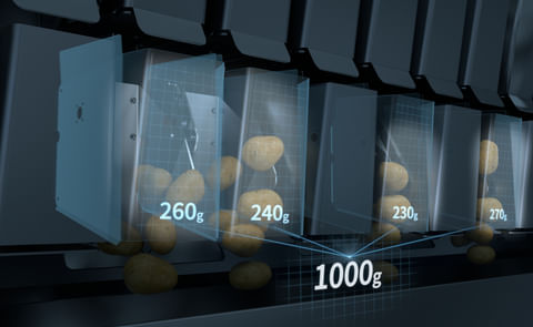 Newtec Weighing Accuracy, Potatoes. Newtec Weighing Accuracy, Potatoes.