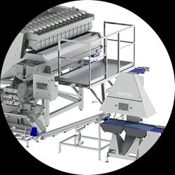 Weighing and bagging system for potatoes