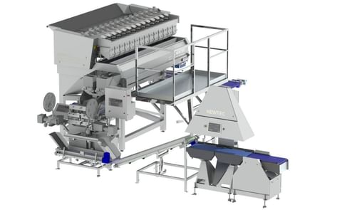 Newtec Weighing and bagging system for potatoes Newtec Weighing and bagging system for potatoes