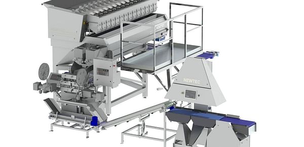 Newtec Weighing and bagging system for potatoes