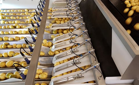 Newtec potato sampling machine at the Interpom | Primeurs 2012 Newtec potato sampling machine at the Interpom | Primeurs 2012