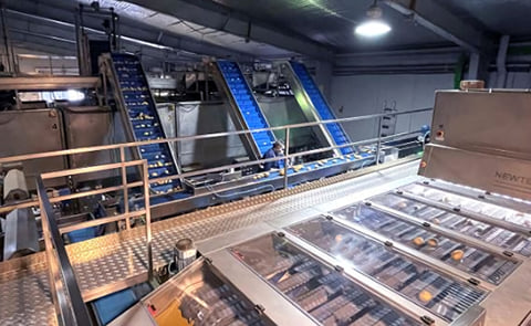 Newtecs High-Performance Optical Sorting Machine for Potatoes. Newtecs High-Performance Optical Sorting Machine for Potatoes.