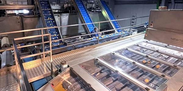 Newtecs High-Performance Optical Sorting Machine for Potatoes.