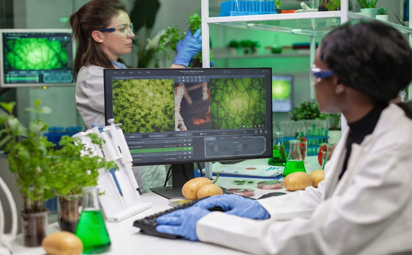 Technology-Driven Innovation Across the Modern Potato Value Chain