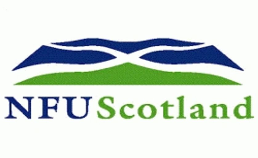 NFU Scotland urges shift from Potato R&D to Potato Promotion