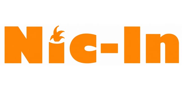 NicIn Systems NicIn Systems