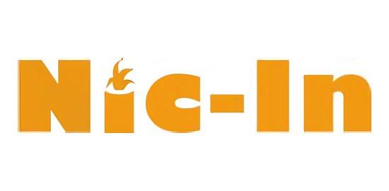 NicIn Systems