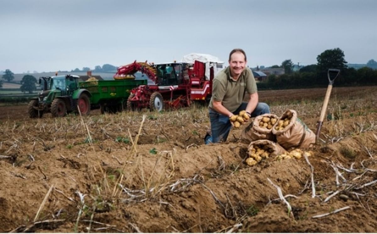 Nick Braggs, Potato Grower Nick Braggs, Potato Grower