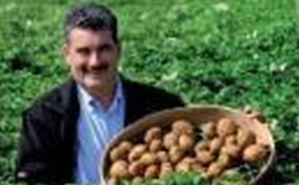 Nick Vermont, McCain Foods regional CEO Nick Vermont, McCain Foods regional CEO