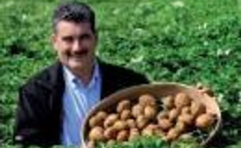 Hello, Mr Chips Hello, Mr Chips