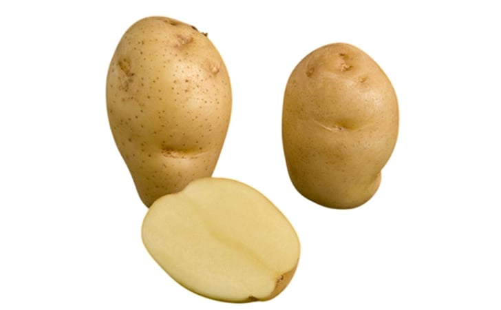 NIETA NIETA