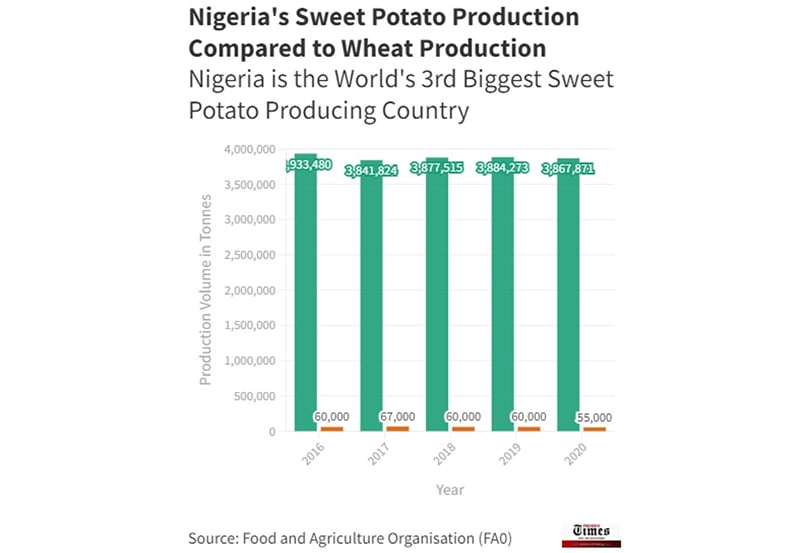 Nigeria’s Sweet Potato Production Compared to Wheat Production(Courtesy: FAO)