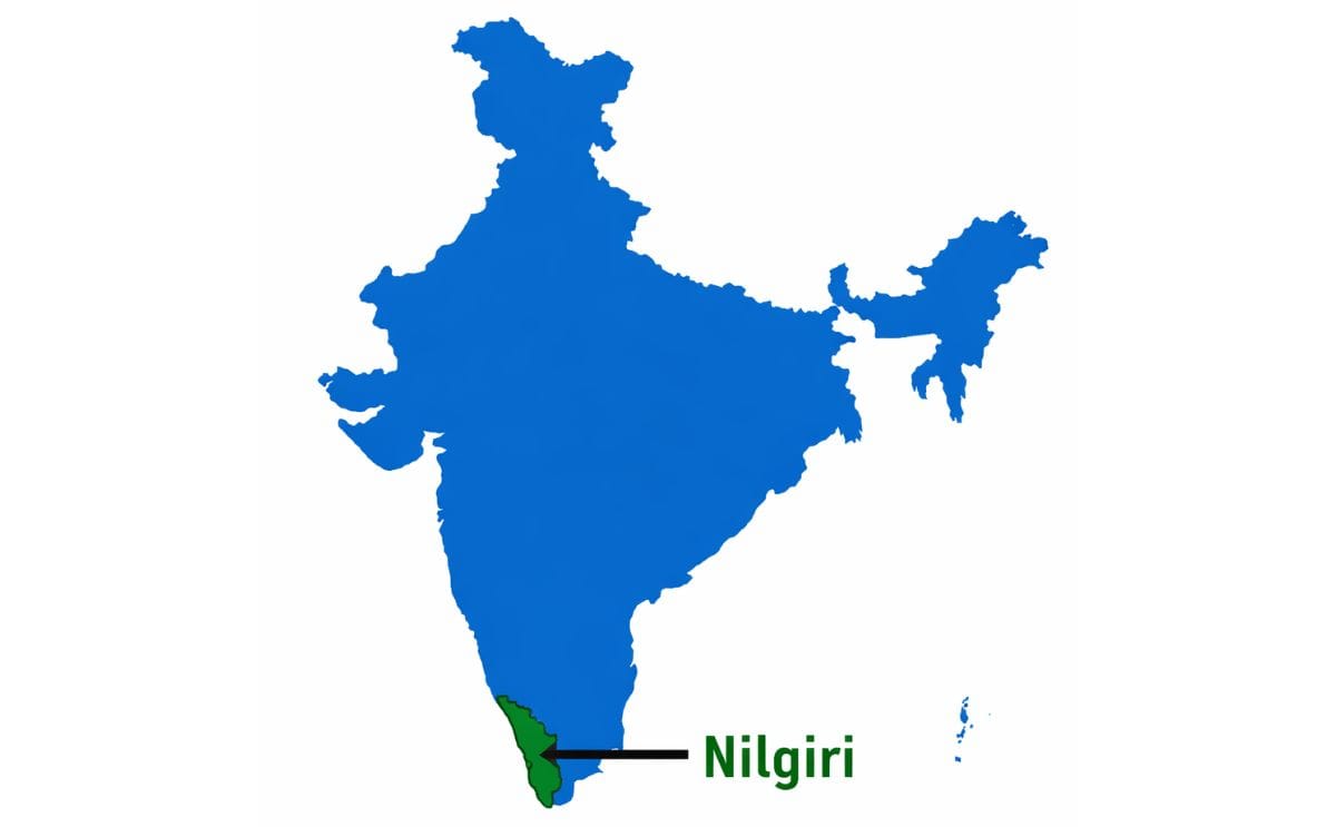 Nilgiris Nilgiris