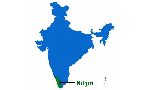 Potato cultivatio?n dwindles this season in Nilgiris, Tamil Nadu Potato cultivatio?n dwindles this season in Nilgiris, Tamil Nadu