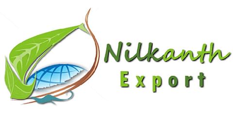 Nilkanth Export Nilkanth Export