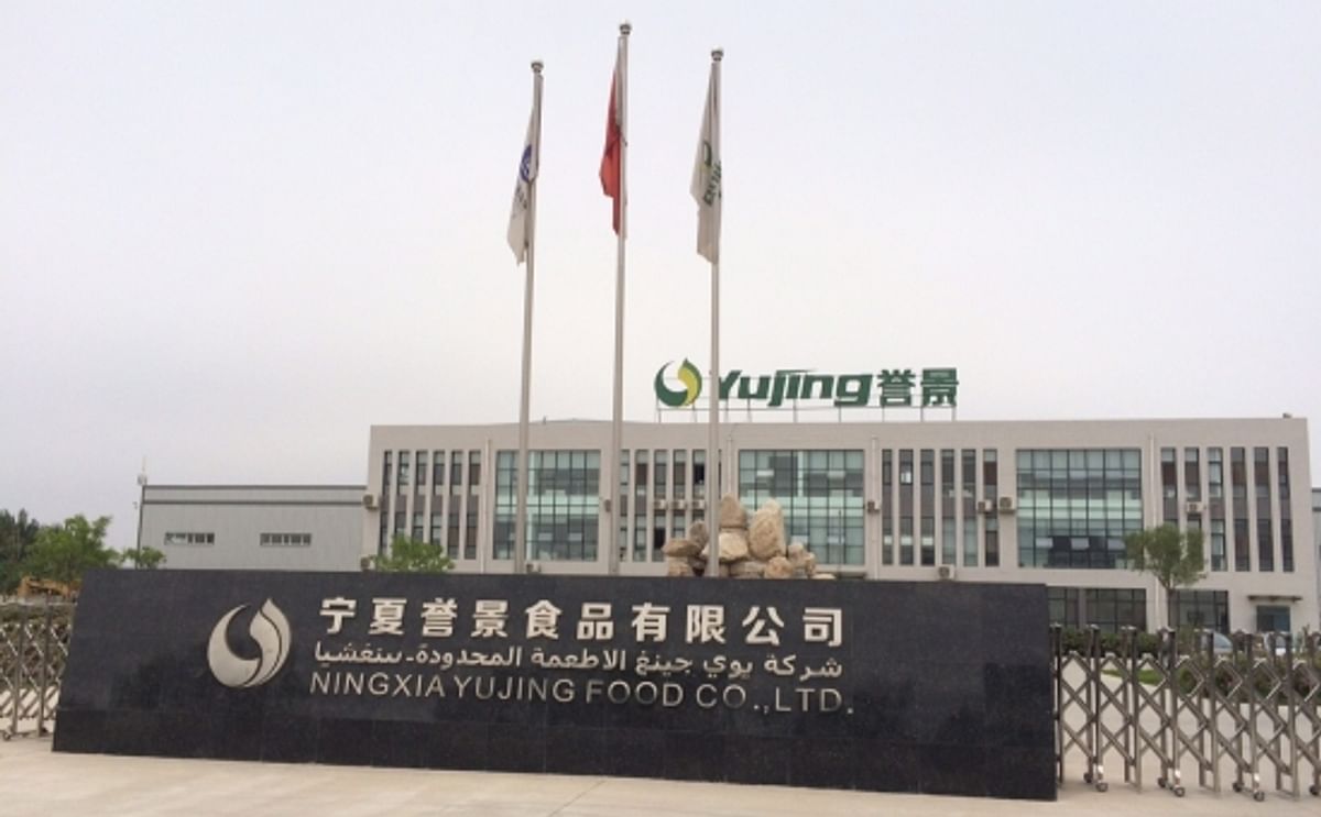 Ningxia Yujing Food Co buys turn-key potato processing lines & potato storage from Kiremko and Tolsma-Grisnich
