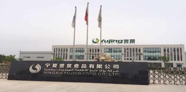 Ningxia Yujing Food Co buys turn-key potato processing lines and potato storage from Kiremko and Tolsma-Grisnich