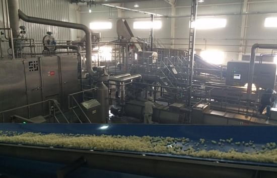 The Ningxia Yujing Food Co Potato Processing Line