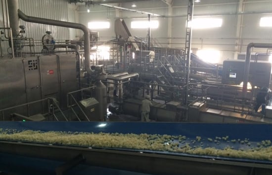 The Ningxia Yujing Food Co Potato Processing Line The Ningxia Yujing Food Co Potato Processing Line