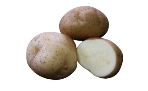 NISHIYUTAKA NISHIYUTAKA