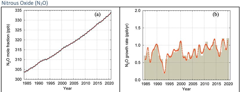 Global average N2O mole fraction and its growth rate from 1984 to 2020 Global average N2O mole fraction and its growth rate from 1984 to 2020