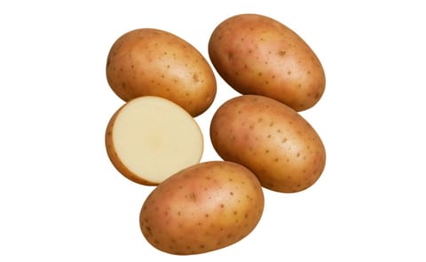 NASPHEL KEWA KAAP (NKK) NASPHEL KEWA KAAP (NKK)