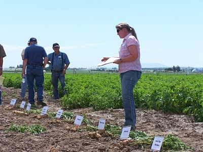 University of Idaho potato specialist Nora Olsen explains organic potato research at Kimberly Farm (Courtesy of The Northwest Coalition for Alternatives to Pesticides) University of Idaho potato specialist Nora Olsen explains organic potato research at Kimberly Farm (Courtesy of The Northwest Coalition for Alternatives to Pesticides)