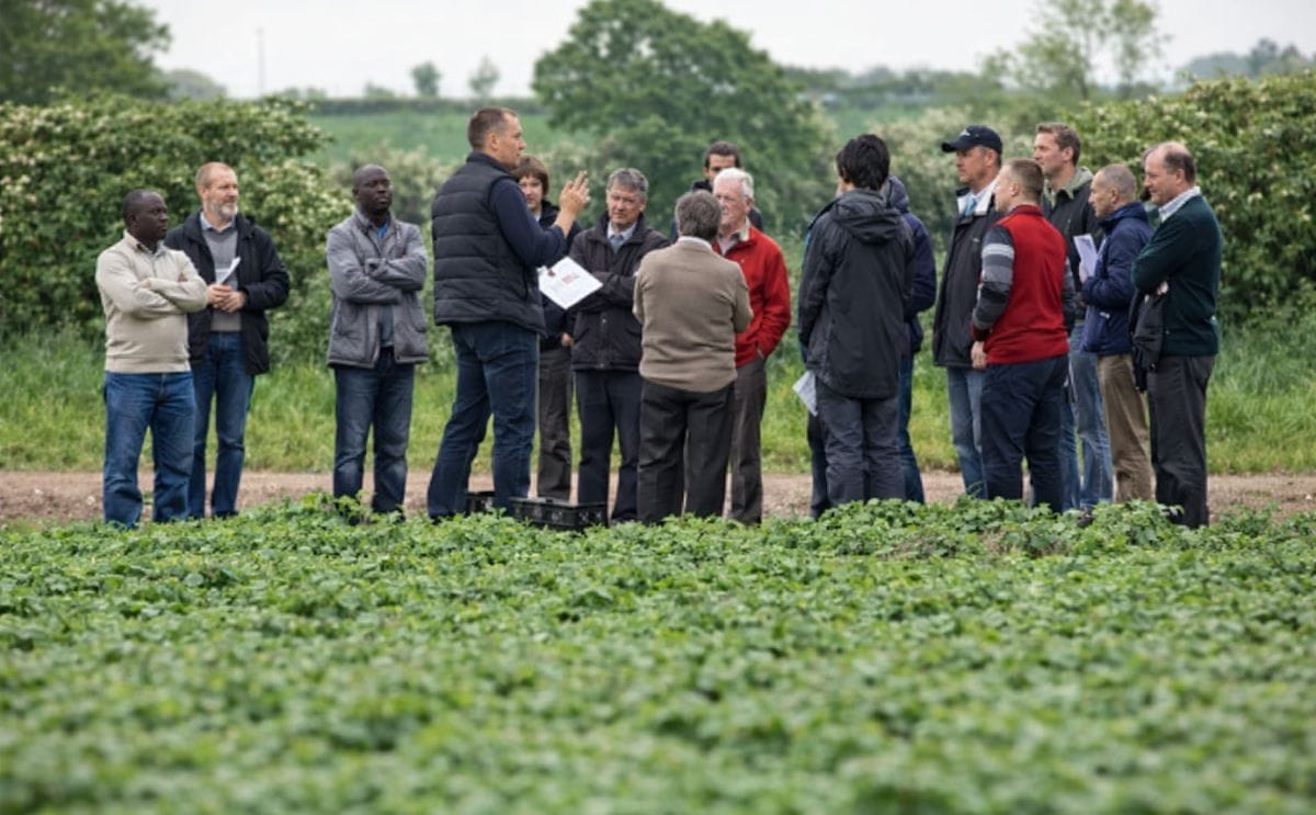 North West Potato Event North West Potato Event