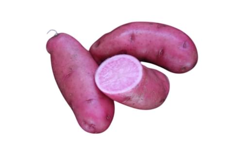 NORTHERN RUBY NORTHERN RUBY