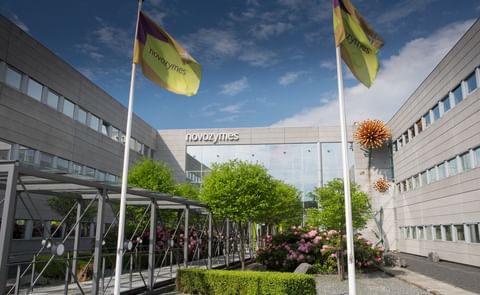 Novozymes offers Starch Processors new enzyme Novozymes offers Starch Processors new enzyme