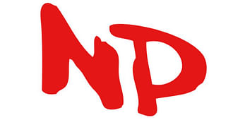 N.P. & Company, Inc.