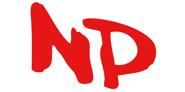N.P. & Company, Inc.